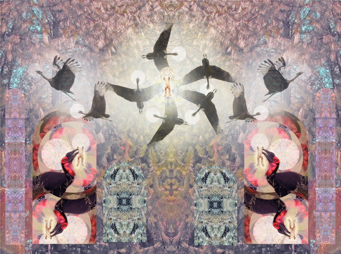 ded and soggy froggy