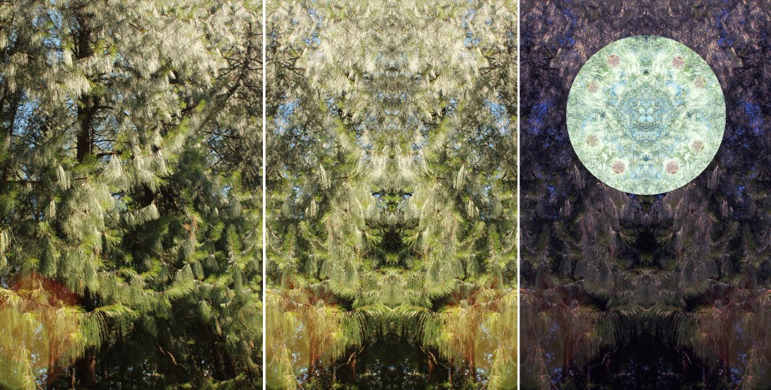 tree religion 1 copy