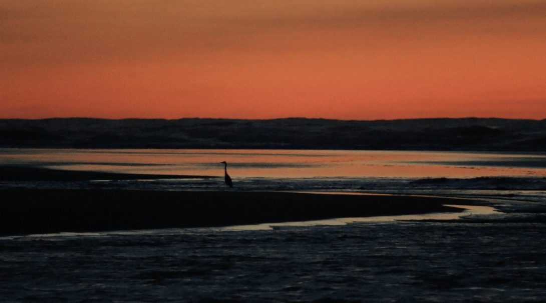 Screen Shot 2019-04-26 at 21.38.10.png