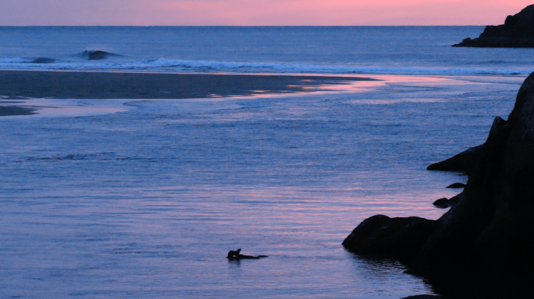 Screen Shot 2019-04-26 at 21.59.02.png