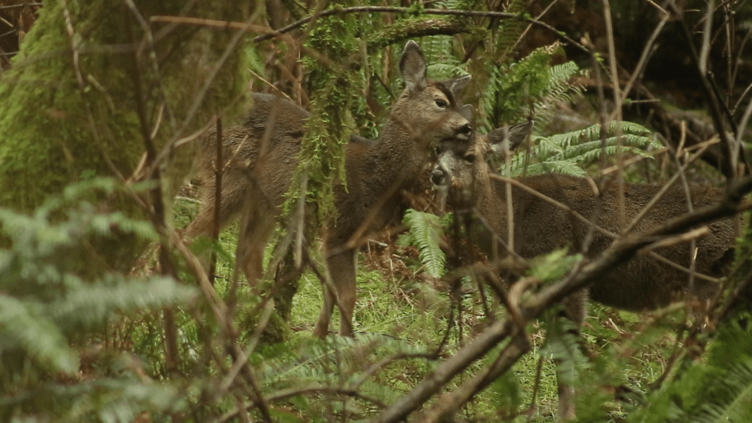 Screen Shot 2019-04-26 at 22.09.32.png