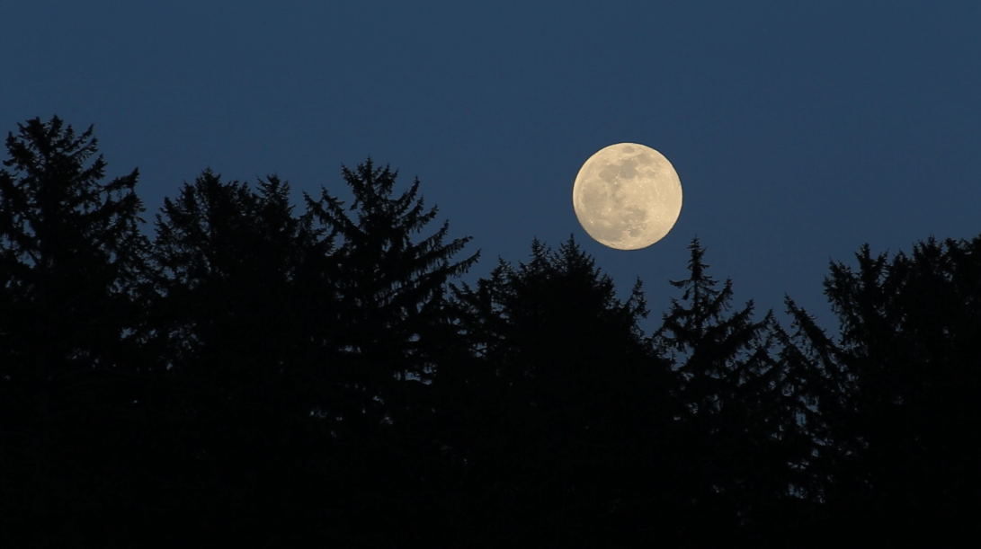 Screen Shot 2019-04-26 at 22.13.08.png